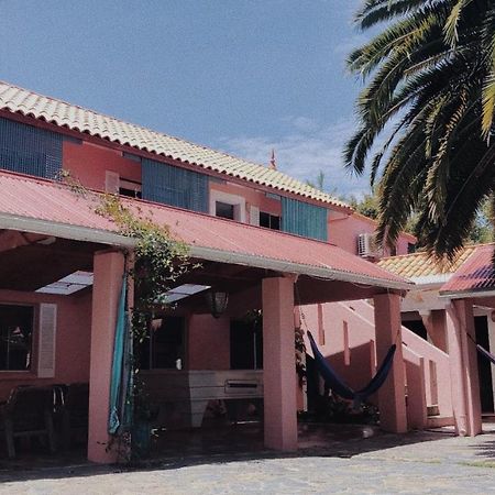 Dolphins Backpackers Hostel Sunshine Beach Buitenkant foto